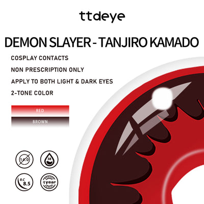 TTDeye Demon Slayer - Tanjiro Kamado | 1 Year