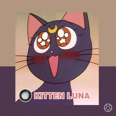 TTDeye Kitten Luna | 1 Year